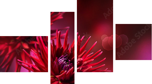 Dahlia Autumn flower design - Vierteiliges Leinwandbild, Viertychon