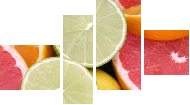 citrus fruits - Vierteiliges Leinwandbild, Viertychon