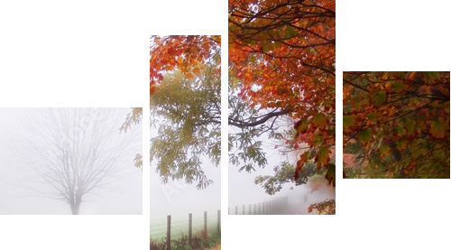 misty autumn morning - Vierteiliges Leinwandbild, Viertychon