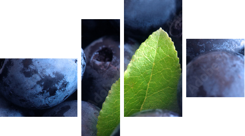 Macro shot of wet fresh blueberry - Vierteiliges Leinwandbild, Viertychon
