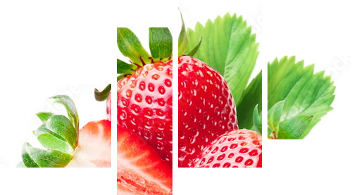 Strawberries with leaves. - Vierteiliges Leinwandbild, Viertychon