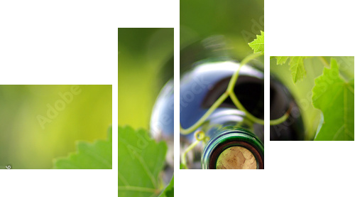 Bottle of wine between grapevine leves - Vierteiliges Leinwandbild, Viertychon