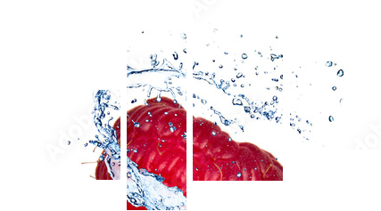 Raspberry with water splash, isolated on white background - Vierteiliges Leinwandbild, Viertychon