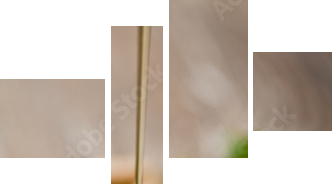 wild honey - Vierteiliges Leinwandbild, Viertychon