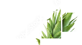 half pineapple - Vierteiliges Leinwandbild, Viertychon