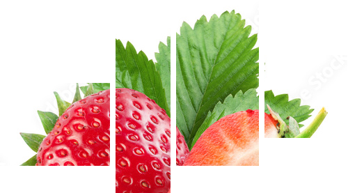 Strawberries with leaves. - Vierteiliges Leinwandbild, Viertychon
