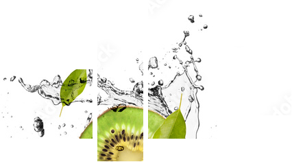 Kiwi with ice cubes, isolated on white background - Vierteiliges Leinwandbild, Viertychon