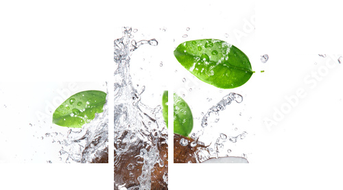 cracked coconut with splashing water - Vierteiliges Leinwandbild, Viertychon