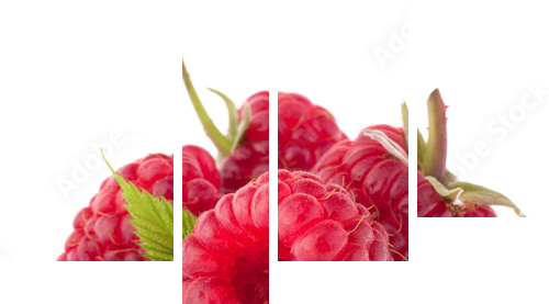 Ripe raspberries - Vierteiliges Leinwandbild, Viertychon