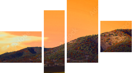 Vineyard Sunset - Vierteiliges Leinwandbild, Viertychon