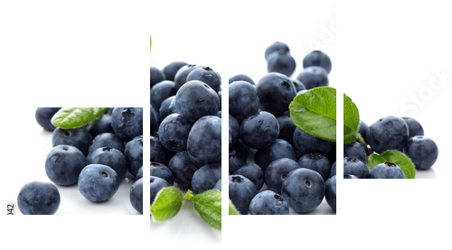Blueberry - Vierteiliges Leinwandbild, Viertychon