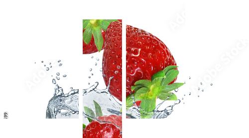 Obst 317 - Vierteiliges Leinwandbild, Viertychon