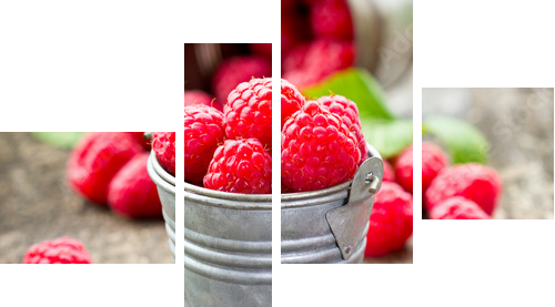 Fresh raspberry - Vierteiliges Leinwandbild, Viertychon