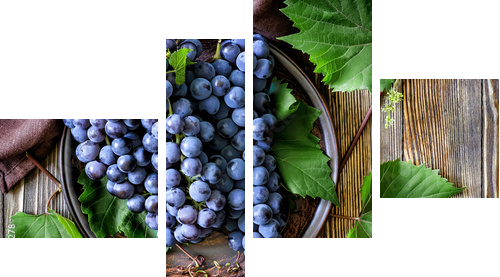 Grape - Vierteiliges Leinwandbild, Viertychon