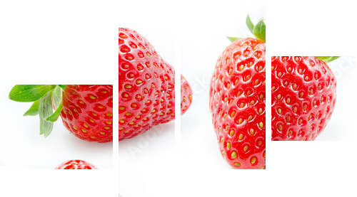 Strawberry. Collection isolated on white - Vierteiliges Leinwandbild, Viertychon