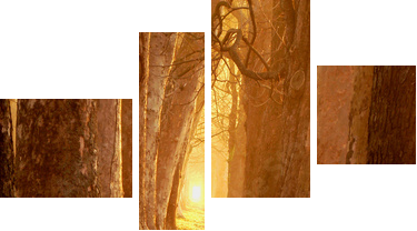 magic path - Vierteiliges Leinwandbild, Viertychon