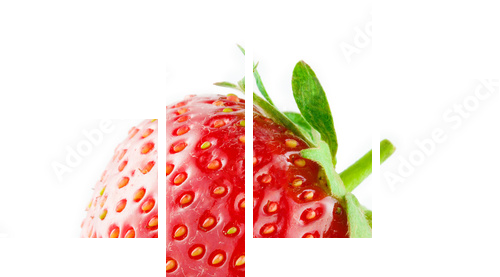 Strawberry isolated on white background - Vierteiliges Leinwandbild, Viertychon