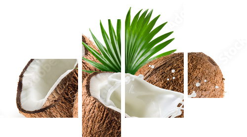 Coconuts with milk splash and leaf on white background - Vierteiliges Leinwandbild, Viertychon