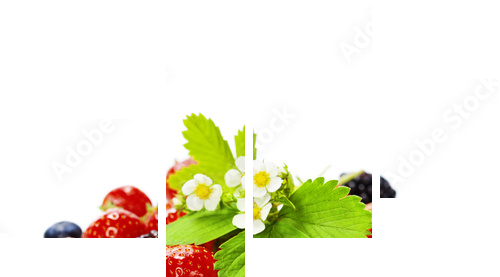 fresh berries - Vierteiliges Leinwandbild, Viertychon
