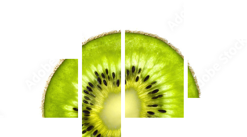 Slice of fresh juicy kiwi and mint herb isolated on white - Vierteiliges Leinwandbild, Viertychon
