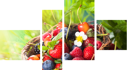Fresh berries  - Vierteiliges Leinwandbild, Viertychon