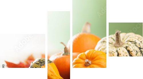decorative mini pumpkins on wooden background  - Vierteiliges Leinwandbild, Viertychon