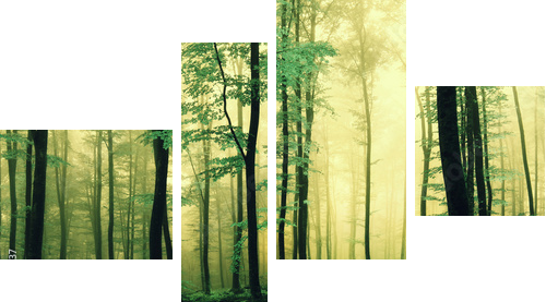 Magic green colored forest - Vierteiliges Leinwandbild, Viertychon