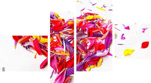 heart of the concept of flower petals on a white background  - Vierteiliges Leinwandbild, Viertychon