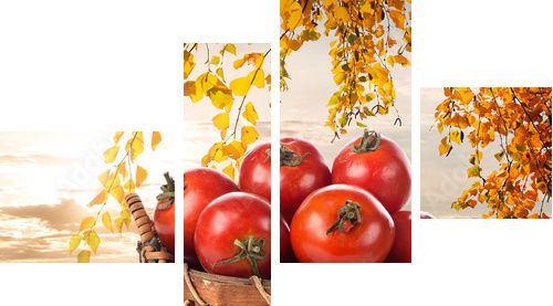 Ripe tomatoes  - Vierteiliges Leinwandbild, Viertychon