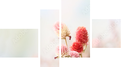 Beautiful dried flowers on bright background  - Vierteiliges Leinwandbild, Viertychon