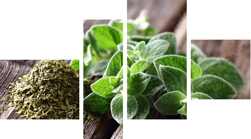 Oregano spices  - Vierteiliges Leinwandbild, Viertychon