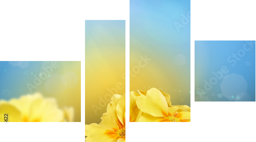 Yellow flowers on a nature background  - Vierteiliges Leinwandbild, Viertychon