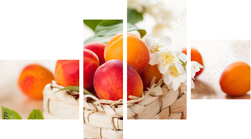 fresh apricots  - Vierteiliges Leinwandbild, Viertychon