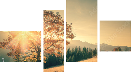 Autumn tree and sunbeam warm day landscape toned in vintage - Vierteiliges Leinwandbild, Viertychon