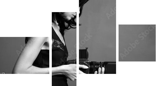 Fashion portrait of young photographing lady - Vierteiliges Leinwandbild, Viertychon