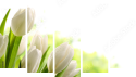 Fünfteiliges Leinwandbild - Pentaptychon