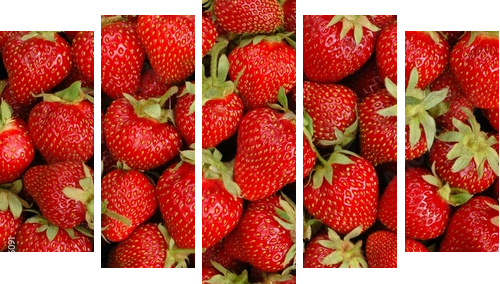 strawberries - Fünfteiliges Leinwandbild, Pentaptychon