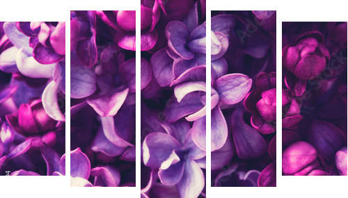 Lilac flowers background - Fünfteiliges Leinwandbild, Pentaptychon