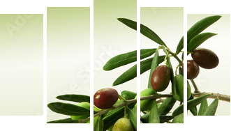 Zielona gałązka oliwna
 - Fünfteiliges Leinwandbild, Pentaptychon