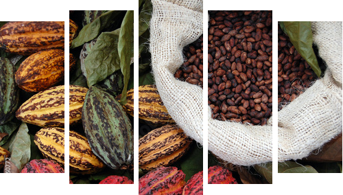 Ziarna kakaowca
 - Fünfteiliges Leinwandbild, Pentaptychon