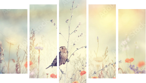 Field with wild flowers and a bird - Fünfteiliges Leinwandbild, Pentaptychon