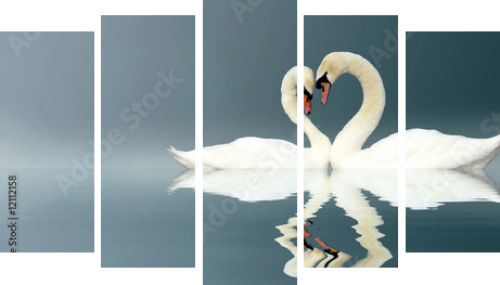 Love Swans - Fünfteiliges Leinwandbild, Pentaptychon
