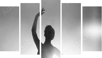 silhouette of a ballerina - Fünfteiliges Leinwandbild, Pentaptychon