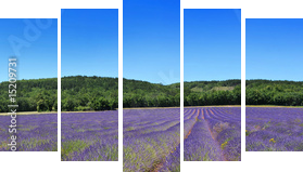 Panorama de provence - Fünfteiliges Leinwandbild, Pentaptychon