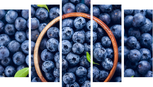  Fresh blueberry - Fünfteiliges Leinwandbild, Pentaptychon