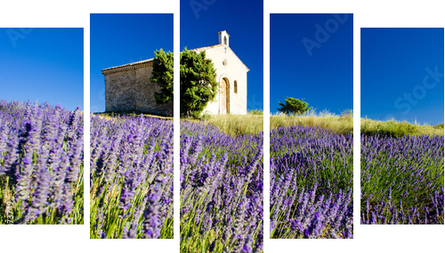 chapel, Plateau de Valensole, Provence, France - Fünfteiliges Leinwandbild, Pentaptychon