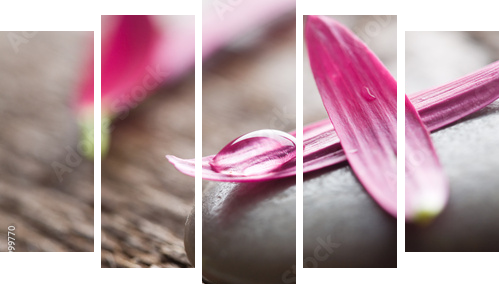 Flower petals - Fünfteiliges Leinwandbild, Pentaptychon