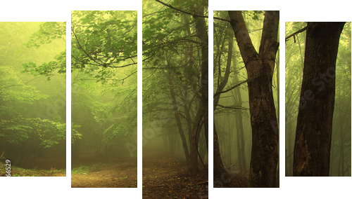 Green forest with fog - Fünfteiliges Leinwandbild, Pentaptychon