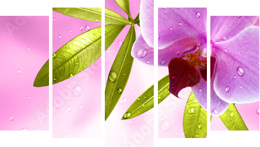 Wellness Motiv mit Orchidee - Fünfteiliges Leinwandbild, Pentaptychon