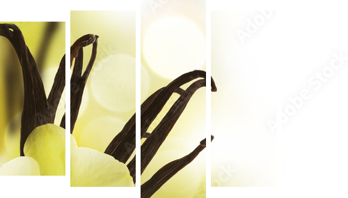 Beautiful Vanilla beans and flower over blurred background - Fünfteiliges Leinwandbild, Pentaptychon